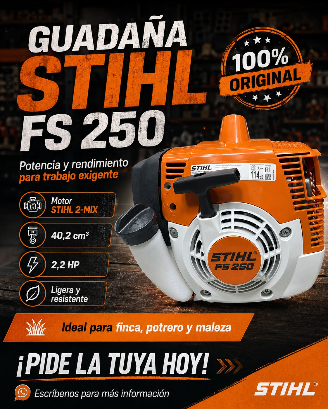 Guadaña Stihl FS 250